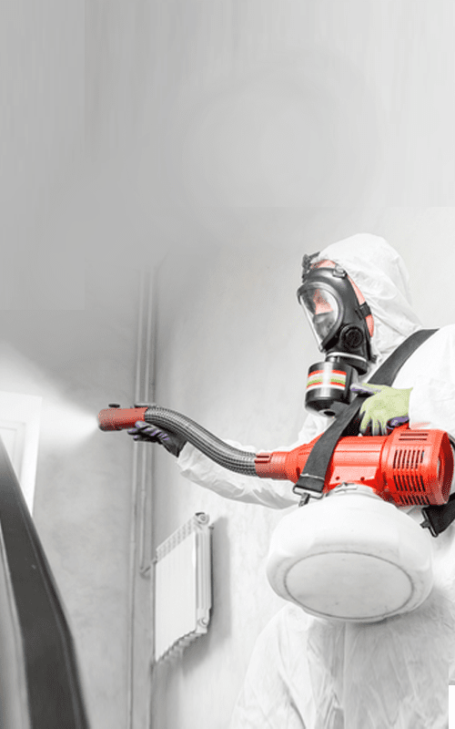 Bio-hazard cleanup Man with Spray